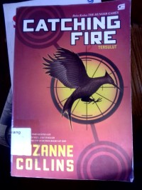Catching Fire ,Tersulut