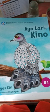 Ayo Lari,Kino