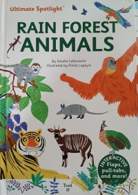 Rain Forest Animals